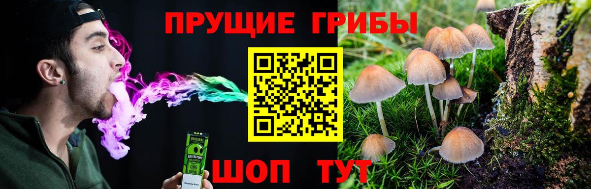 Псилоцибиновые грибы Psilocybine cubensis Тулун